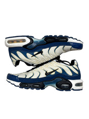 Nike Air Max 95 Reinplantin Blue (42 EU)